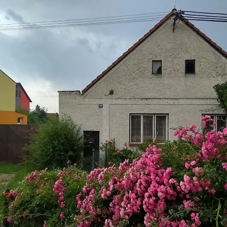 Na Chalupe U Sadky Apartment Novosedly nad Nezarkou Exterior photo